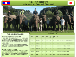 日本・ラオス親善ゾウ （Japan-Lao Goodwill Elephant)