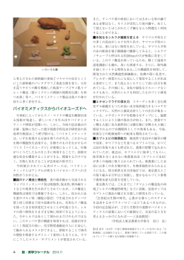 2ページ - 東京農業大学