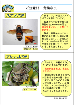 ご注意!! 危険な虫 - 神奈川県衛生研究所