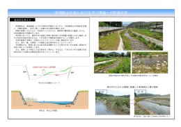 寄洲除去計画における河川環境への配慮対策