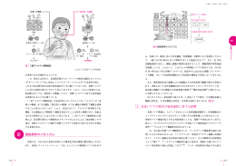 Ⅲ 経皮感作のメカニズム 1 表皮バリアの障害の経皮感作に対する影響