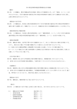 休日救急診療体制運営費補助金 要綱 （PDF 93.0KB）