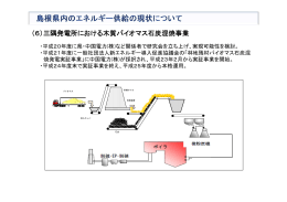 （6）三隅発電所における木質バイオマス石炭混焼事業