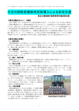 大豆の狭畦密播栽培技術導入による安定生産（PDF：80KB）