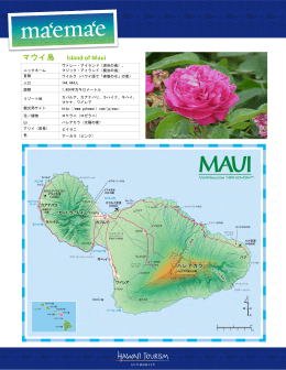 マウイ島 Island of Maui - Hawaii Tourism Authority