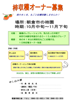 柿の木 1 本、丸ごと収穫体験しませんか！