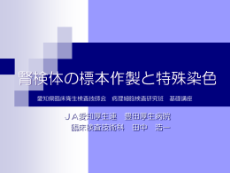 腎検体の標本作製と特殊染色 - 公益社団法人 愛知県臨床検査技師会
