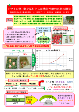 トマトの茎、葉を原料とした機能性梱包容器の開発