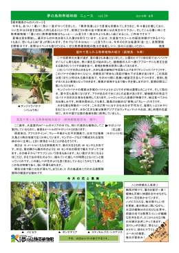 2015/08/02更新『夢の島熱帯植物館 ニュース vol.30』