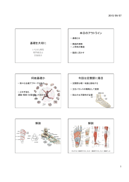 基礎を大切に 本日のアウトライン 何故基礎か 今回は足関節に着目 解剖