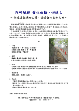 2014岡崎城跡説明会ちらし（PDF形式：510KB）