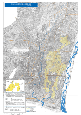 天竜川水系安間川浸水想定区域図