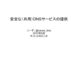 安全な（共用）DNSサービスの提供