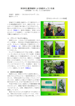 安城市 浅岡弘一さん 施設野菜（キュウリ） （PDFファイル:252kb）