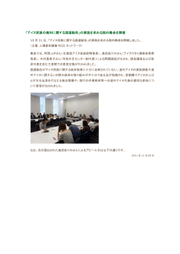 国連勧告の実施を求める院内集会・島田あけみさんからのアピール