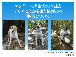 マングース探索犬の育成と テリアによる探索と捕獲との 連携について