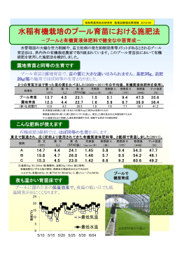 水稲有機栽培のプール育苗における施肥法