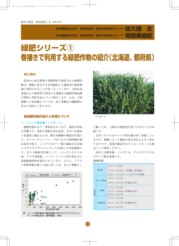 緑肥シリーズ① 春播きで利用する緑肥作物の紹介（北海道