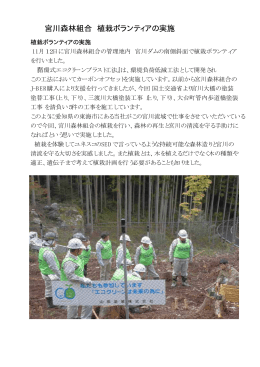 宮川森林組合 植栽ボランティアの実施