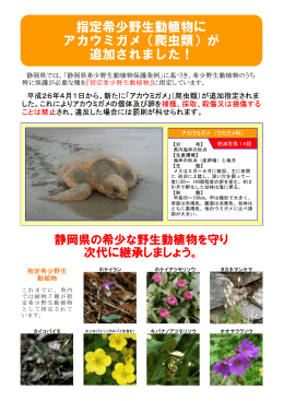 H26静岡県指定希少野生動植物（PDF：276KB）