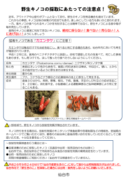 野生キノコの採取にあたっての注意点！ (PDF:226KB)