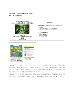 「事業を考えた企業の森林への取り組み」 藤田 香（日経 BP 社） REDD