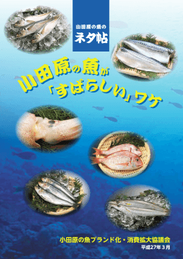 「すばらしい」ワケ ダウンロードはこちら - 小田原の魚ブランド化・消費拡大