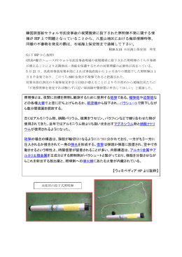 韓国旅客船セウォル号沈没事故照明弾不発に関する情報. pdf