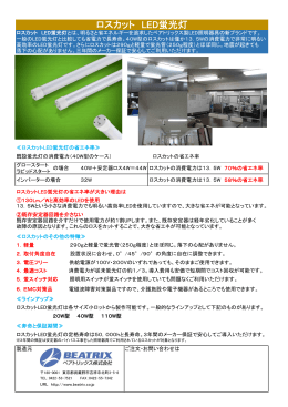 LED蛍光灯 ロスカットカタログ ダウンロード (PDF形式