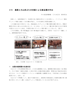 黒豚と大山赤ぶたの交配による新品種の作出