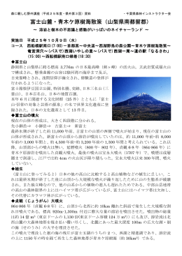 富士山麓・青木ケ原樹海散策 - 千葉県森林インストラクター会