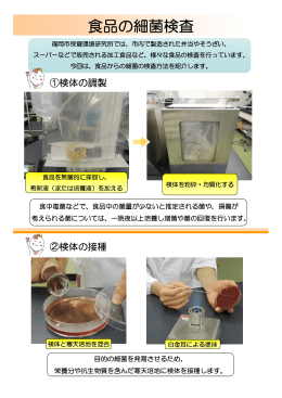 食品の細菌検査 （401kbyte）