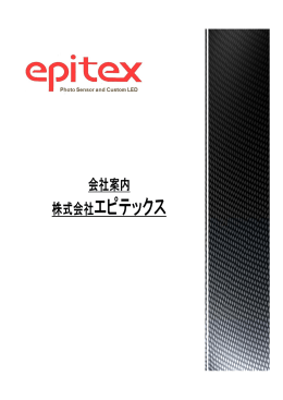 エピテックス社 - エビス電子株式会社