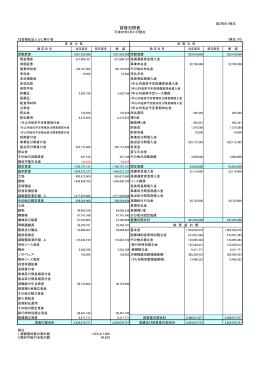 貸借対照表 - 社会福祉法人 ふじ寿か会