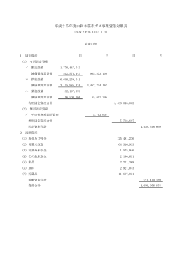 平成25年度ガス事業貸借対照表(PDF文書)