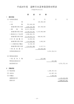 平成26年度 遠野市水道事業貸借対照表 [41KB pdfファイル]