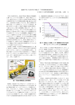 偏極中性子反射率計 BL17「写楽(SHARAKU)」 日本原子力研究開発