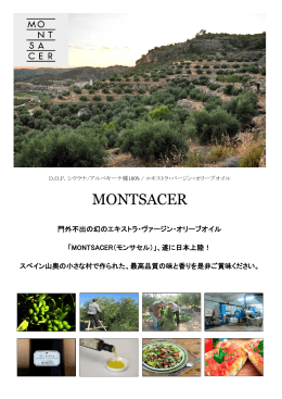 MONTSACER - 株式会社ラムゼス