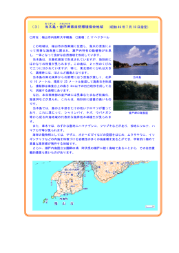 （3） 当木島 ・釜戸岬 県自然環境保全地域 （昭和 49 年 7 月 18 日指定）