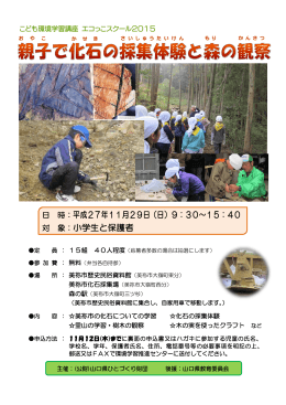 11.29 チラシ 化石採集体験と森の観察