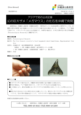 幻の巨大ザメ「メガマウス」の化石を沖縄で発見