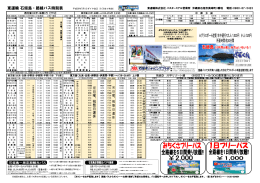 系統⑨ 川平リゾート線 (※印は7/1～9/30の夏季運行となります) 東運輸