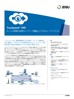 TrueSpeed™ VNF RFC 6349準拠の仮想ネットワーク機能としての