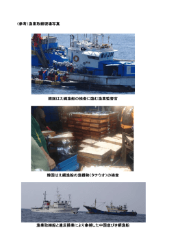 （参考）漁業取締現場写真 韓国はえ縄漁船の検査に臨む漁業監督官