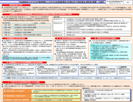 関川委員提出資料（PDF：864KB）