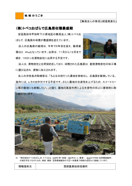 （株）トペコおばらで広島菜収穫最盛期 (PDFファイル)