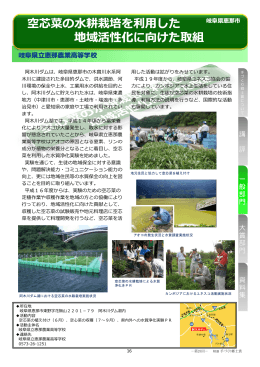 空芯菜の水耕栽培を利用した地域活性化に向けた取組