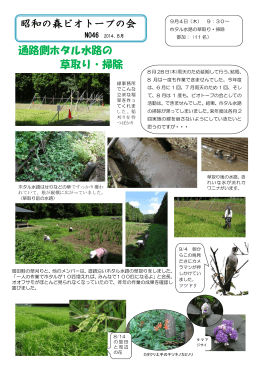 昭和の森ビオトープの会 9月4日（木） 9：30～ ホタル水路の草取り・掃除