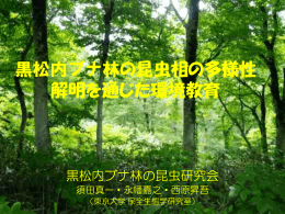 黒松内ブナ林の昆虫相の多様性 解明を通じた環境教育