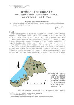 福井県内のいくつかの地域の地質